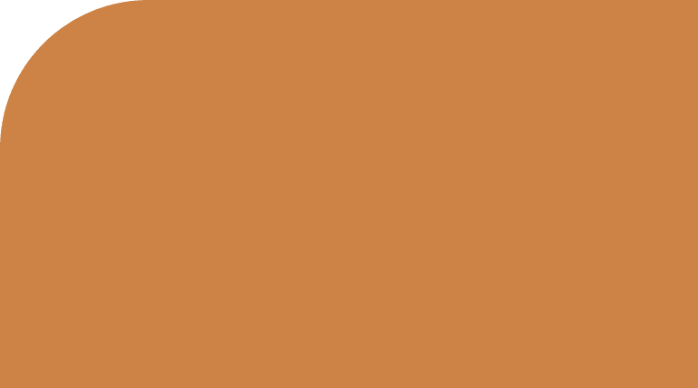 Rectangle-11